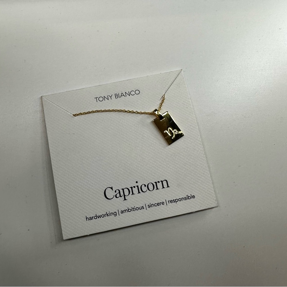CAPRICORN Zodiac Symbol 18K Gold necklace